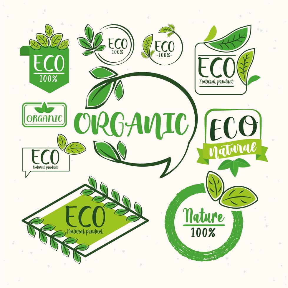 ten eco labels vector