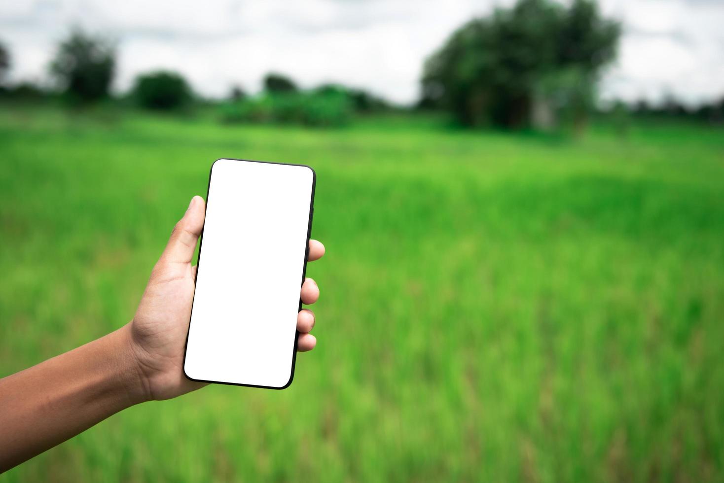 Closeup hand using smartphone with blank screen outdoors. photo