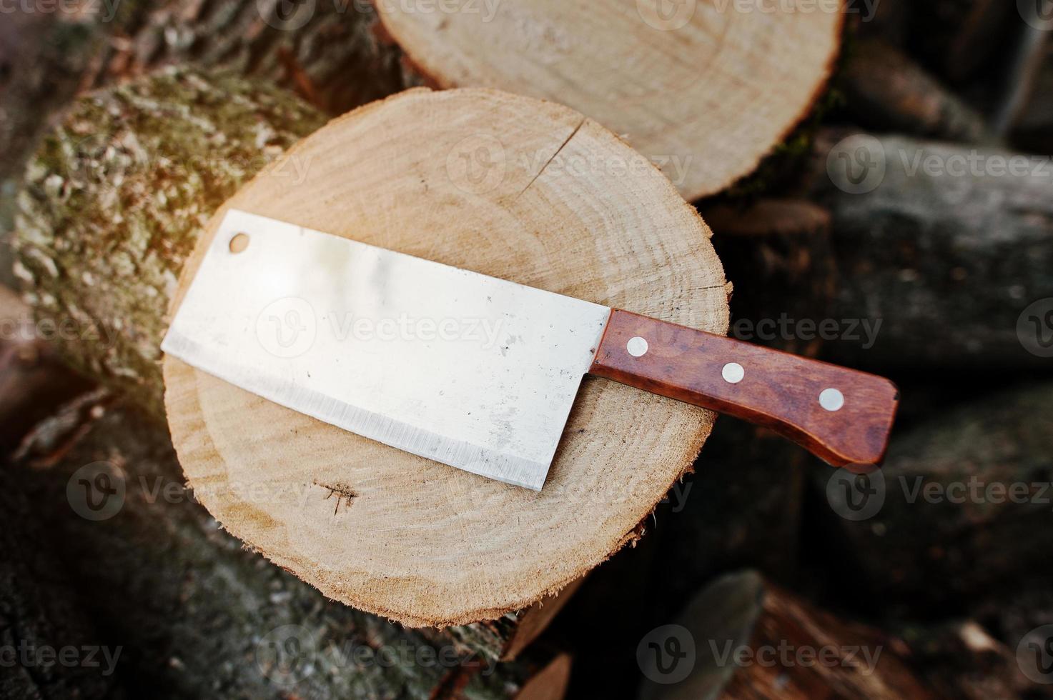 Kitchen hatchet knife machete at stump background chopped firewood. photo