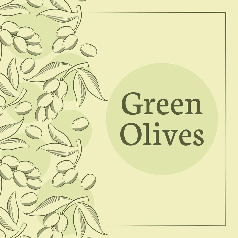 cartel de aceite de oliva vector
