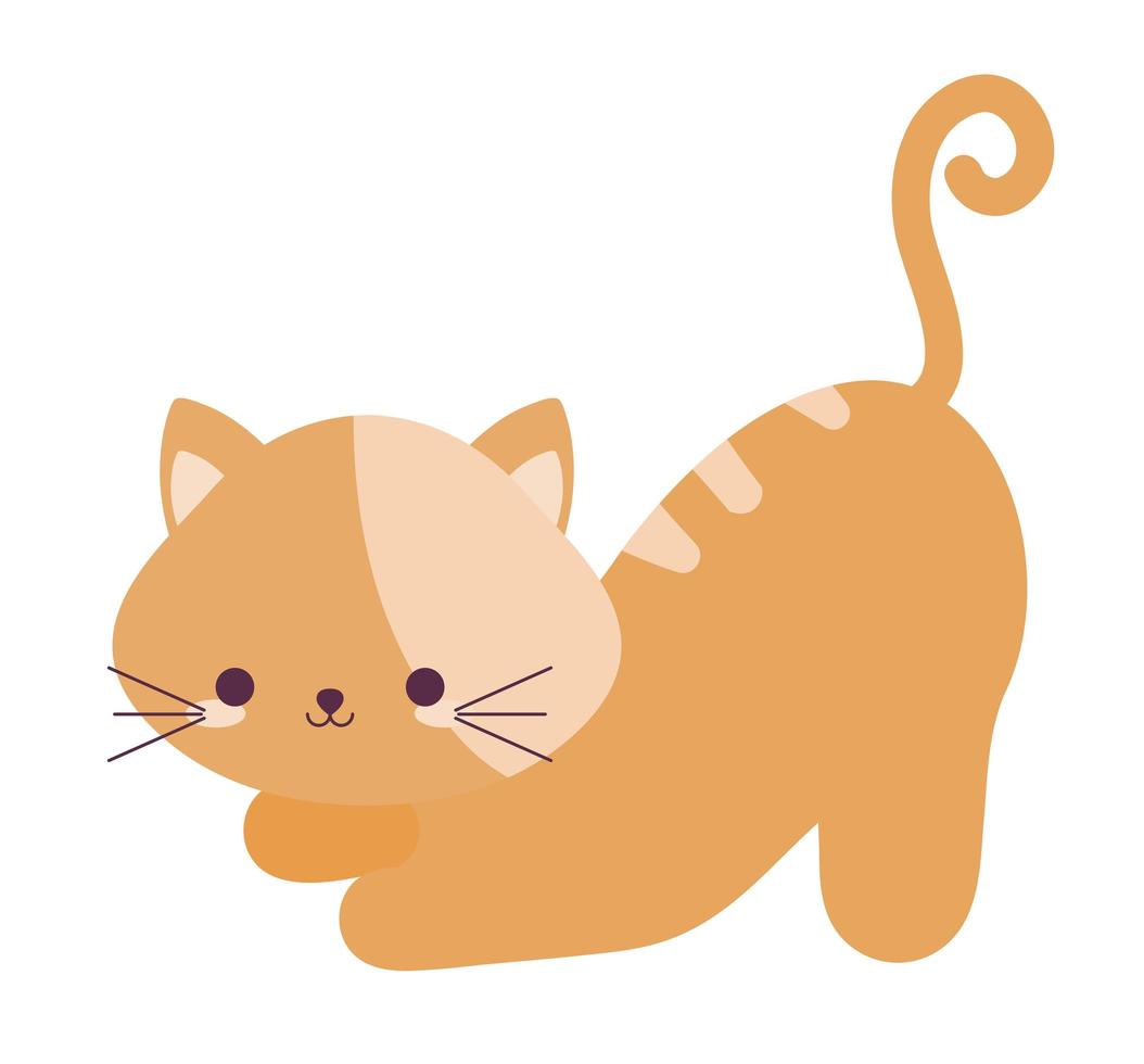 pretty yellow cat vector