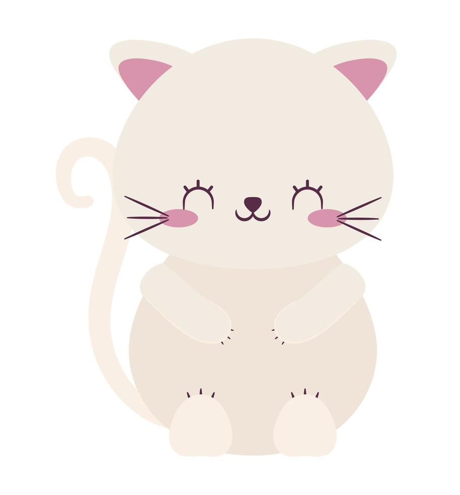 pretty white cat vector