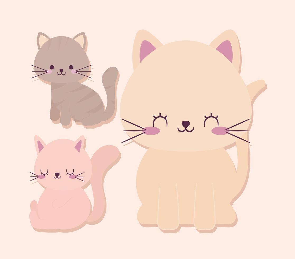 tres gatos bonitos vector