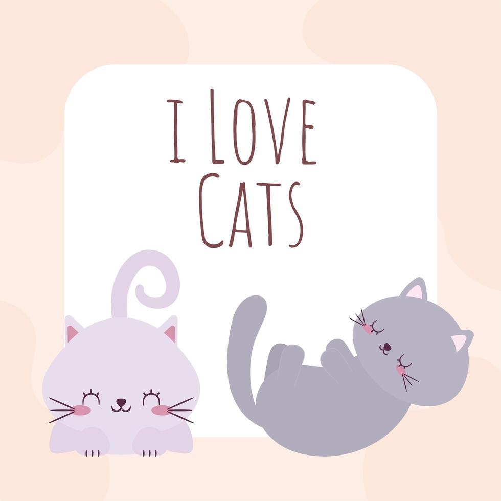 cute cats cartel vector