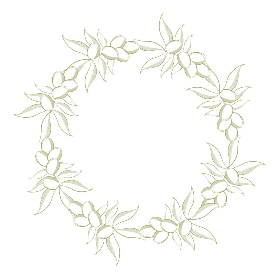 olive branch icon vector