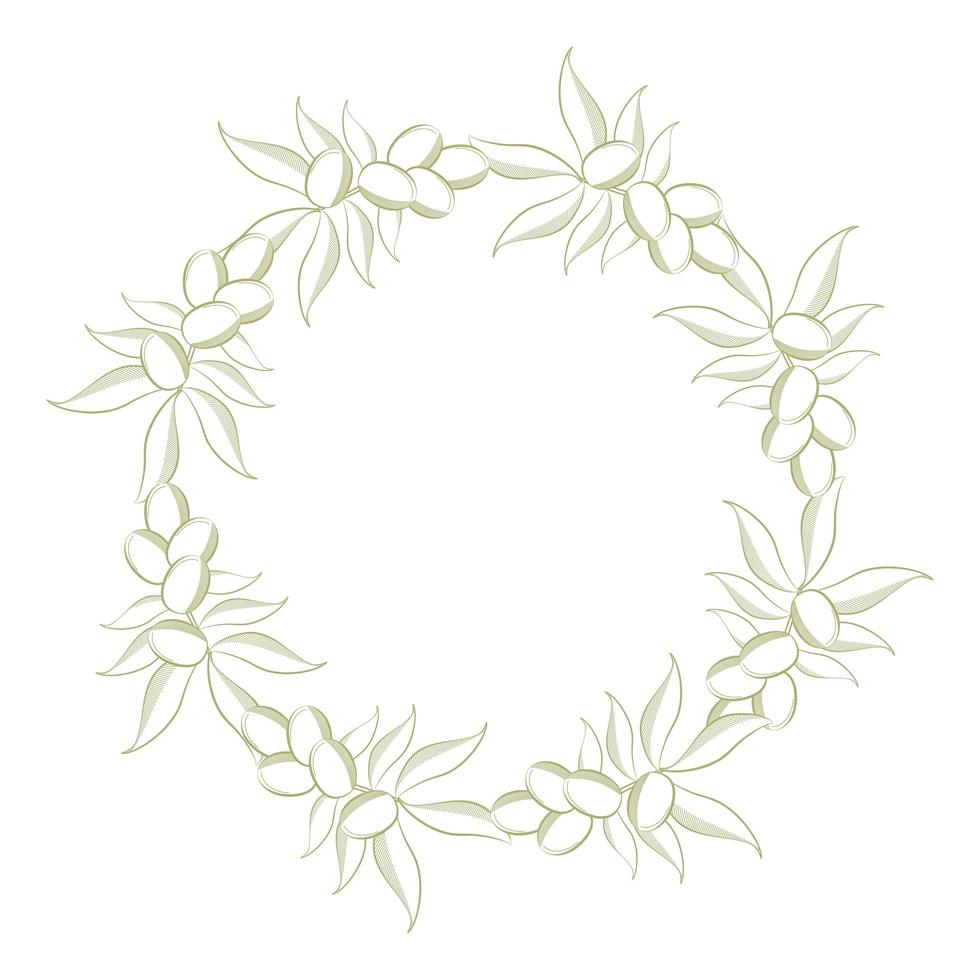 olive branch icon vector