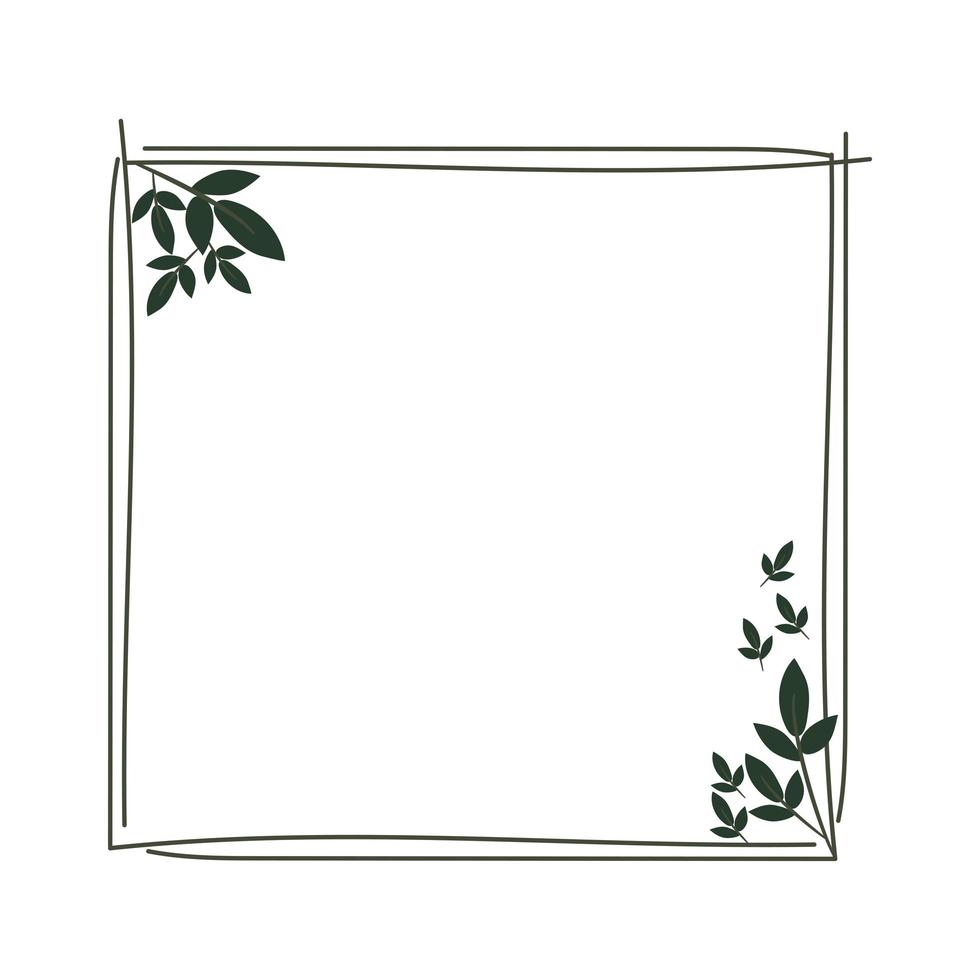 square laurel wreath vector