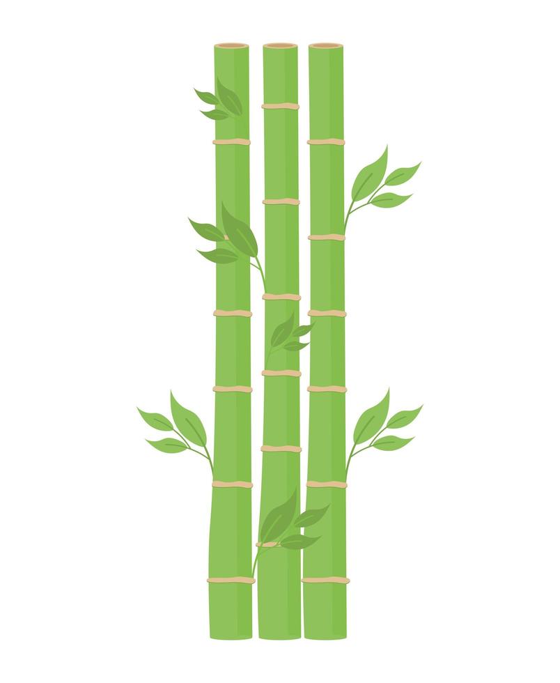 green bamboo design vector