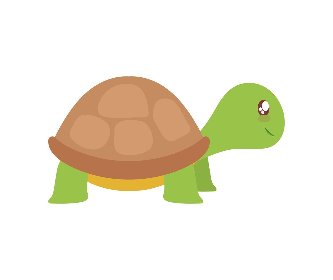 gran tortuga bebé vector