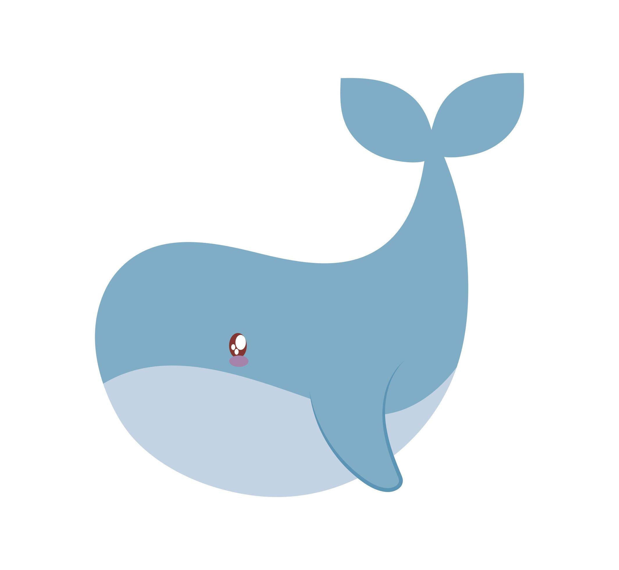 great baby whale 5969052 Vector Art at Vecteezy