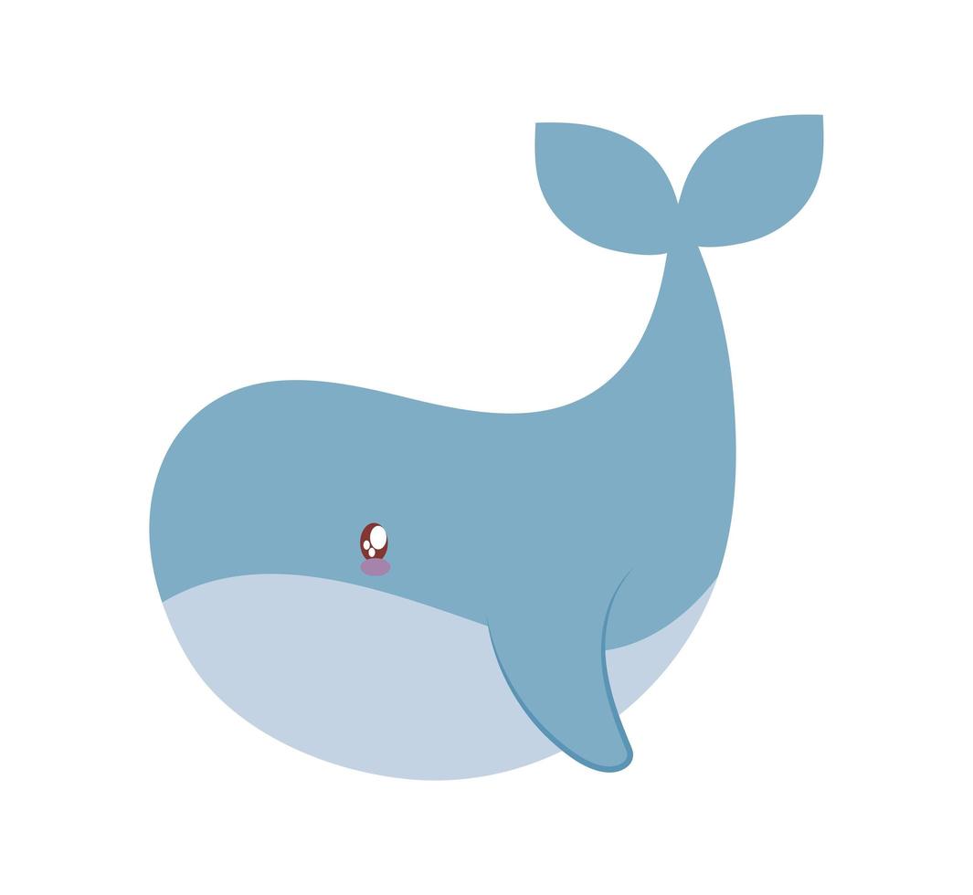 great baby whale vector