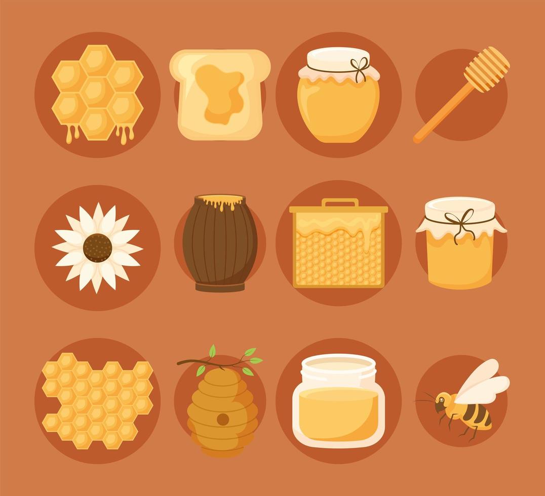 twelve honey items vector