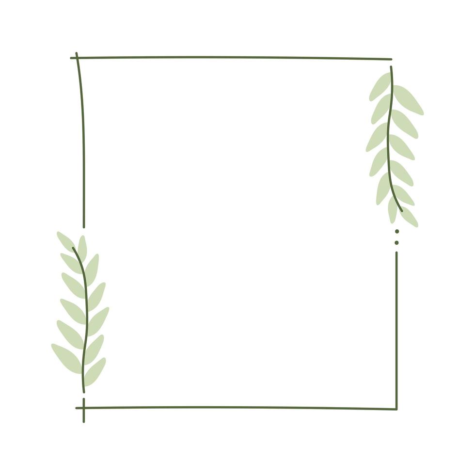 square laurel wreath illustration vector