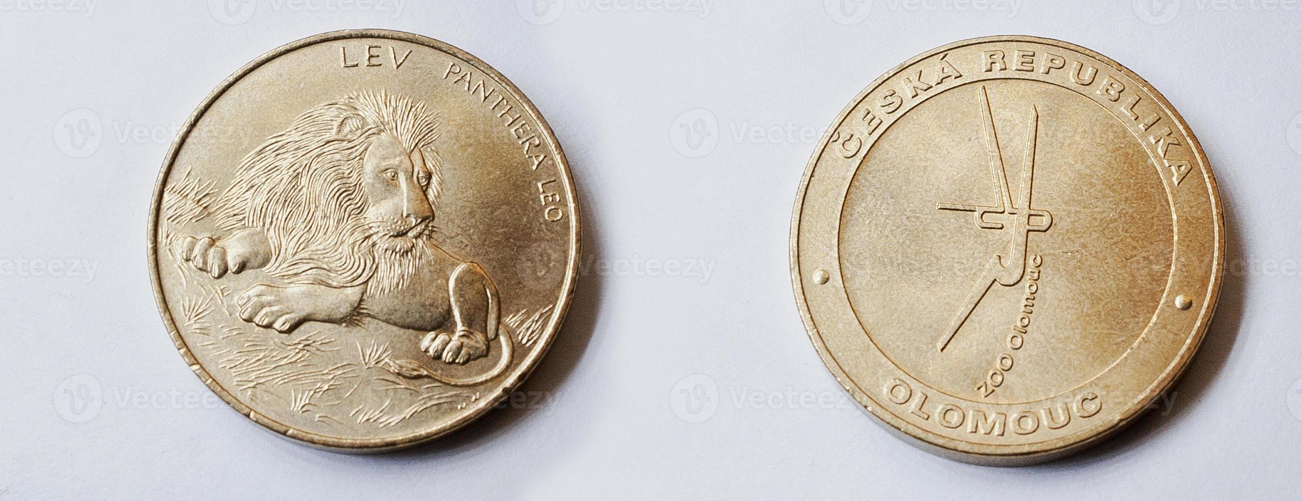 conjunto de moneda corona república checa muestra león del zoológico de olomouc foto
