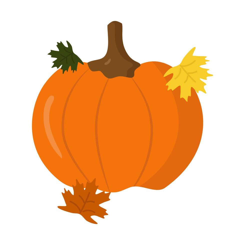 calabaza naranja madura con hojas de otoño. vector. en el estilo de dibujo a mano. vector