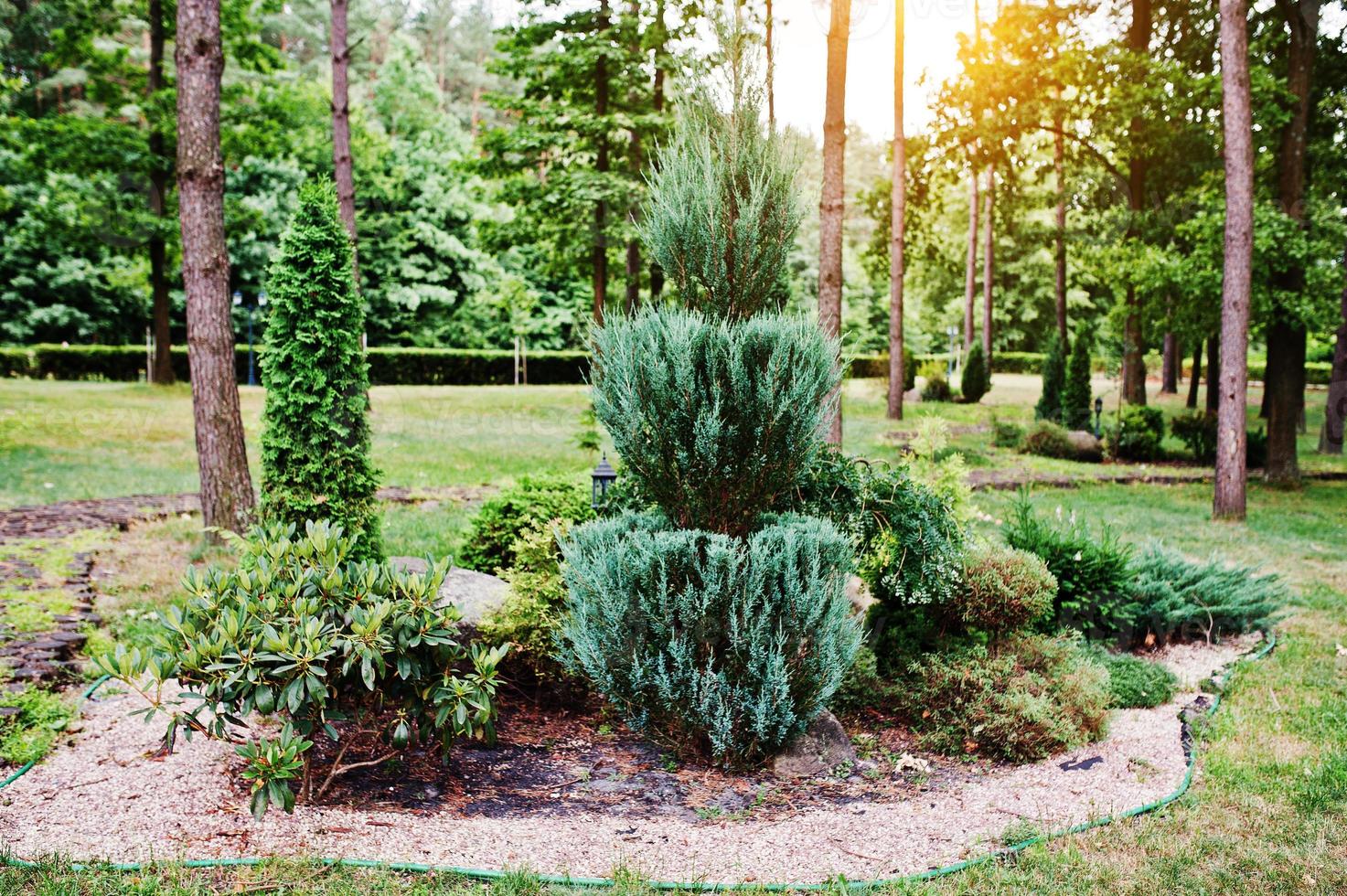 hermoso jardín alpino que contiene una amplia variedad de plantas foto