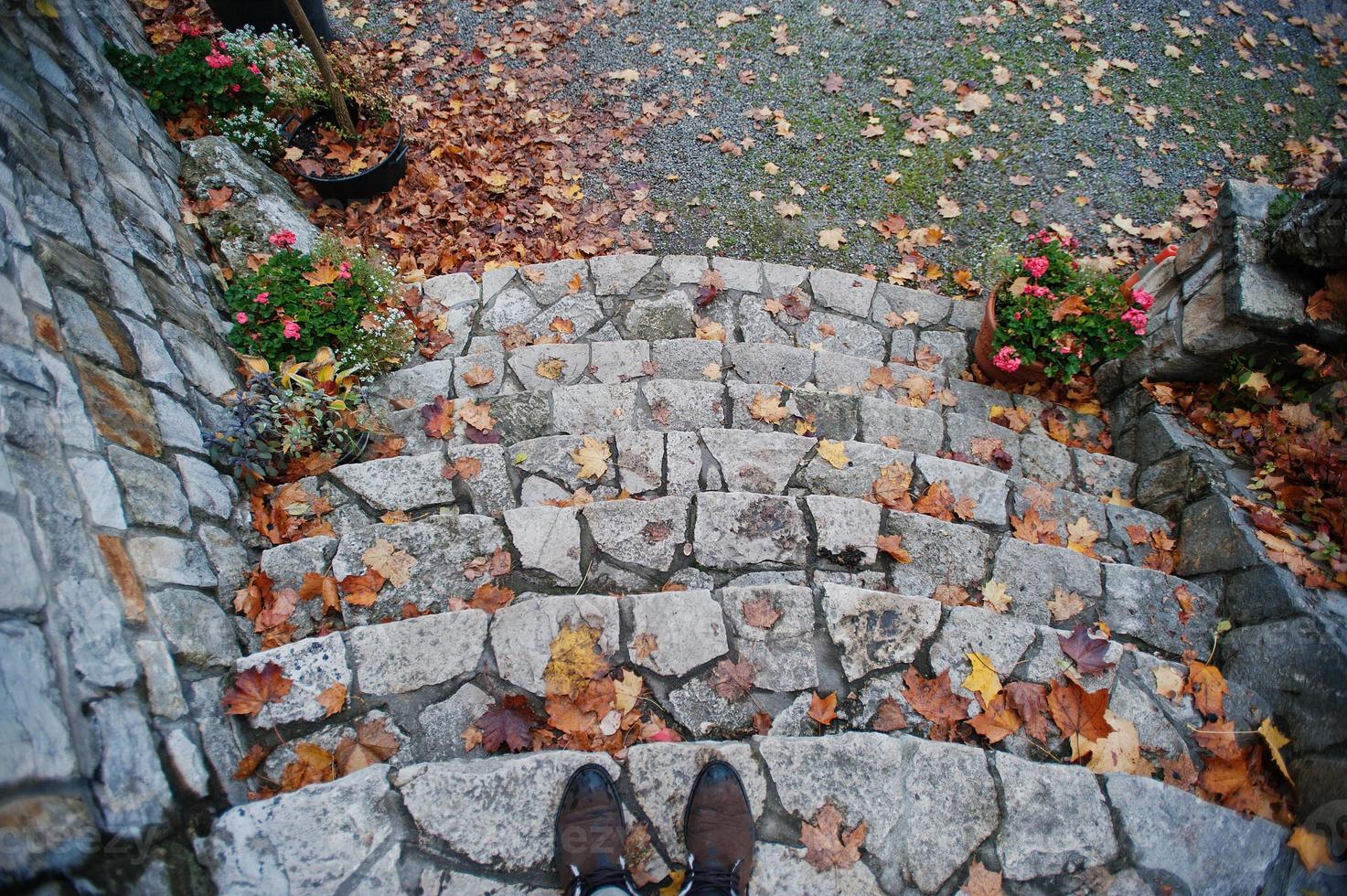 Shoes of man stay on stone stairs with autumn leaves photo