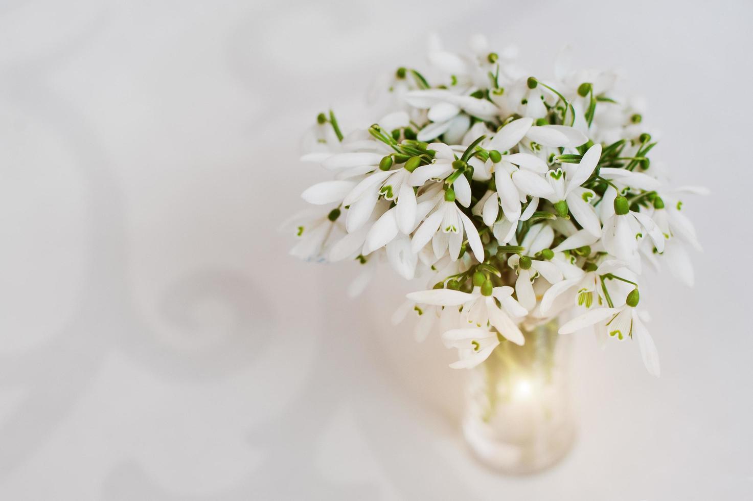 Snowdrop flowers at vase on white glossiness background with ornament photo