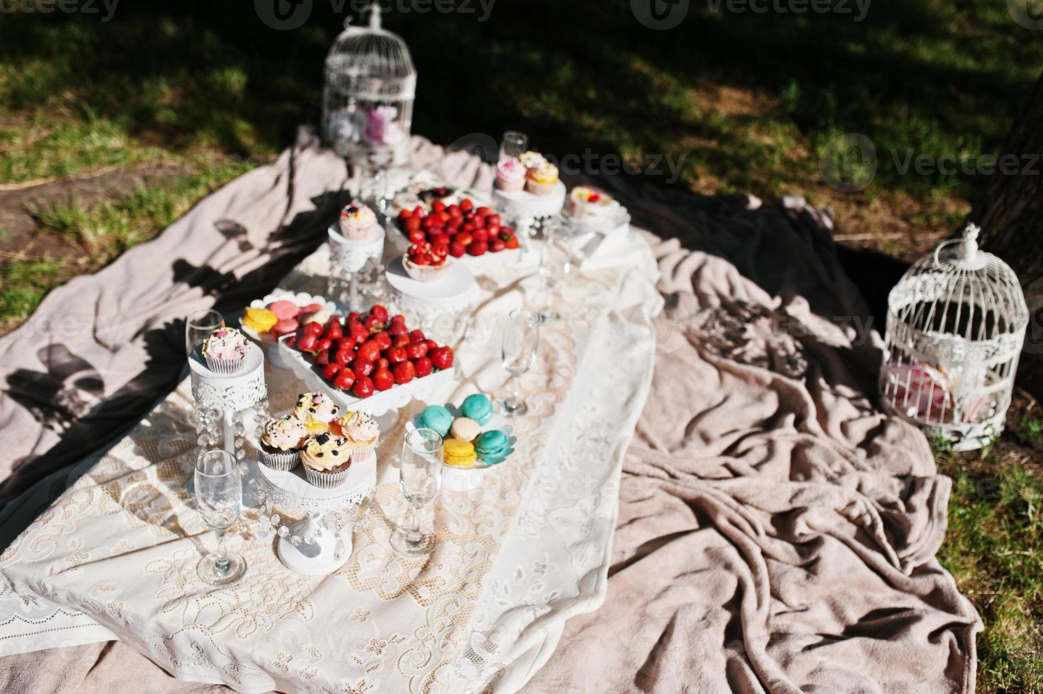 Picnic table with decor on grass with macaroon, strawberry and cup cake photo