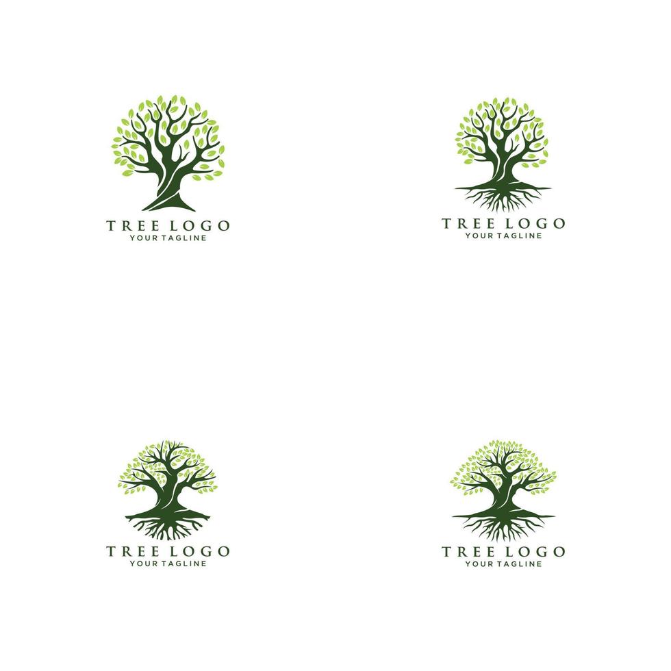 Vector tree, spruce, wood, oak. Set of logo design elements, badges, labels and logotype templates for your business