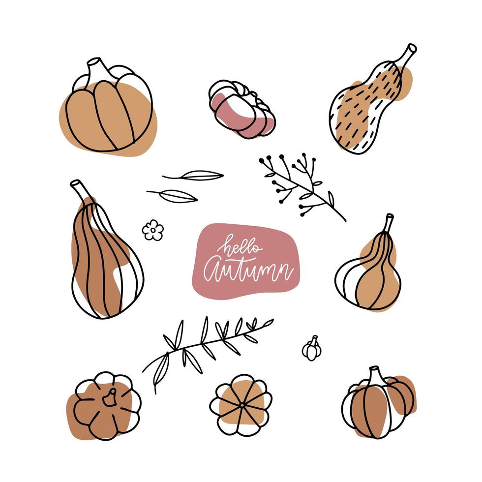 Decorative pumpkins of various shapes set. Linear Design with abstract shapes for poster, kitchen textiles, clothing and website. Vector hand drawn illustration.