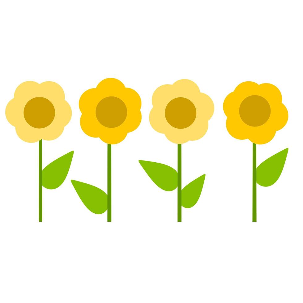 Yellow flowers in a row. Summer plants vector