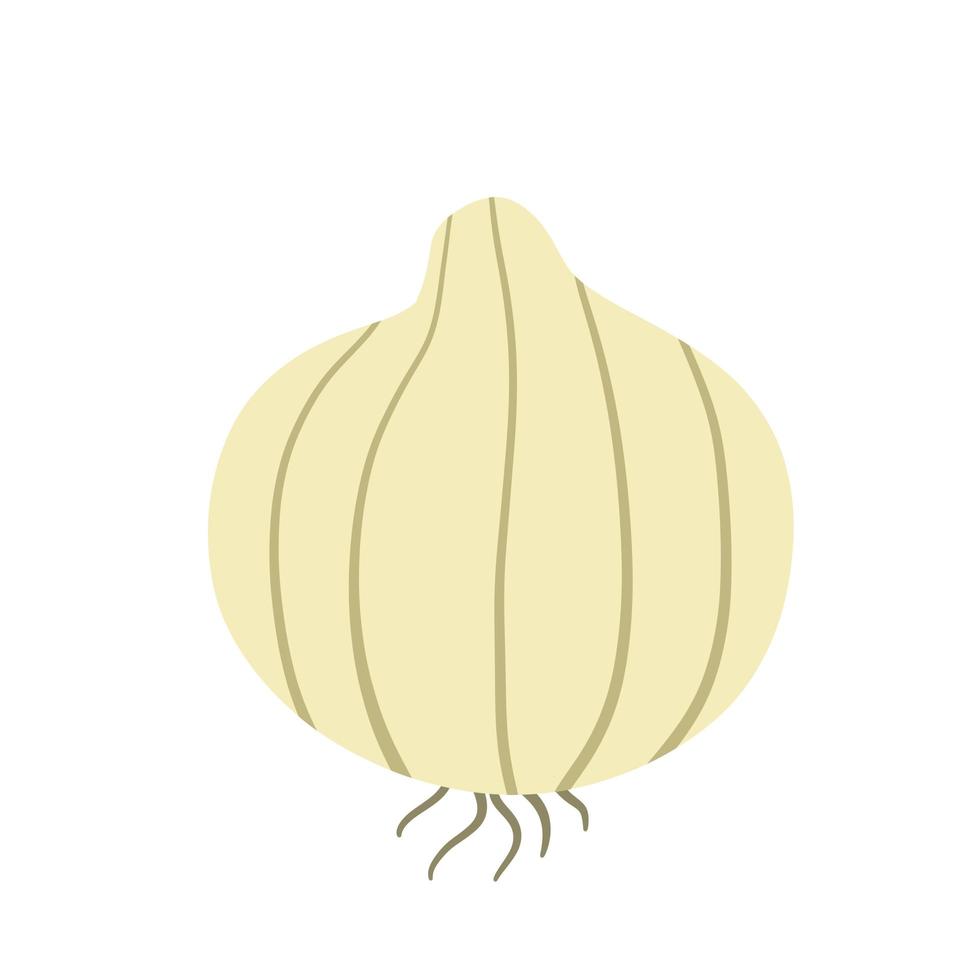 Onion in doodle style vector