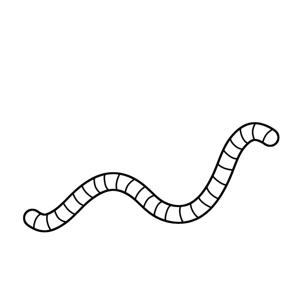 Earthworm. Insect worm. Bait for fishing vector