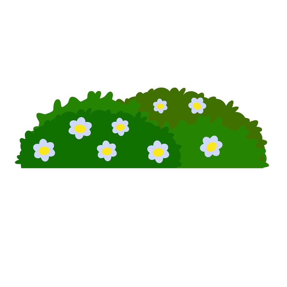 Green hedges bushes with flower. Element of garden. Small plant with leaves. vector