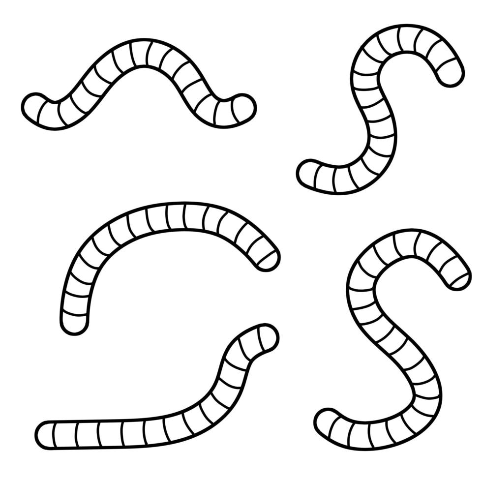Earthworm. Insect worm set. Bait for fishing. vector