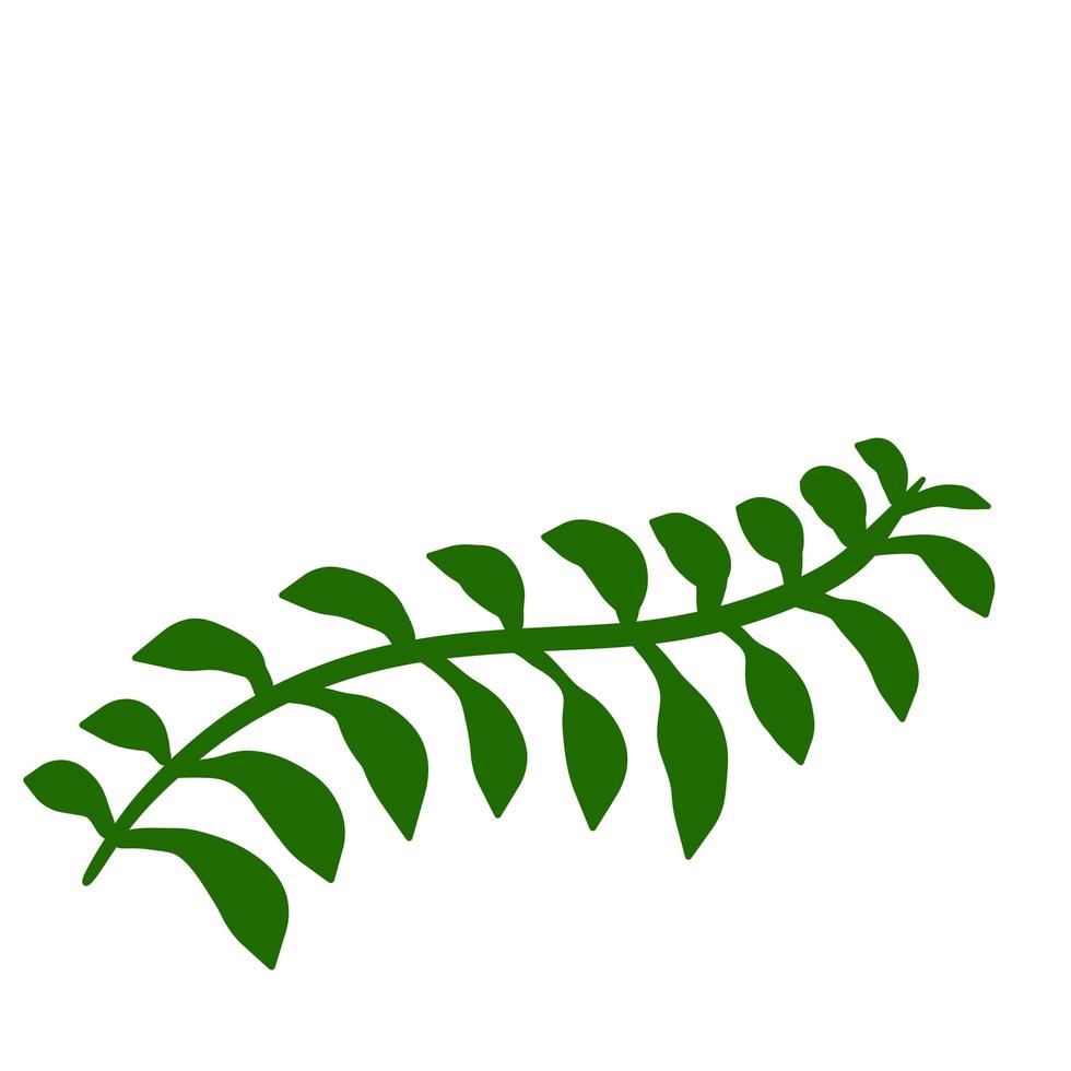 Fern leaf. Element of nature and the forest. Green bracken plant. vector