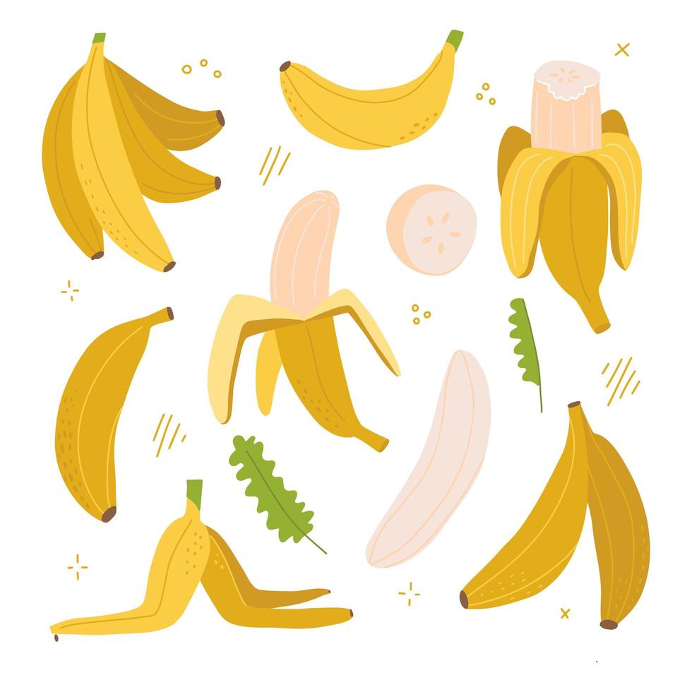 conjunto de colores de plátano amarillo. frutas tropicales exóticas aisladas en fondo blanco. plátano pelado y rebanado y entero. comida saludable vegetariana fresca con vitaminas. ilustración dibujada a mano vectorial plana. vector