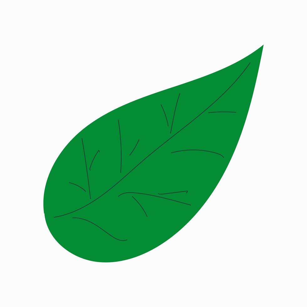 Isolated leaf shap on a white background. Conceptual design of bio-plants and trees with a floral forest vector