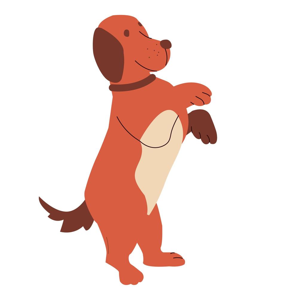 Happy cartoon puppy sitting, Portrait of cute little dog wearing collar. Dog friend. Vector illustration. Isolated on white background.