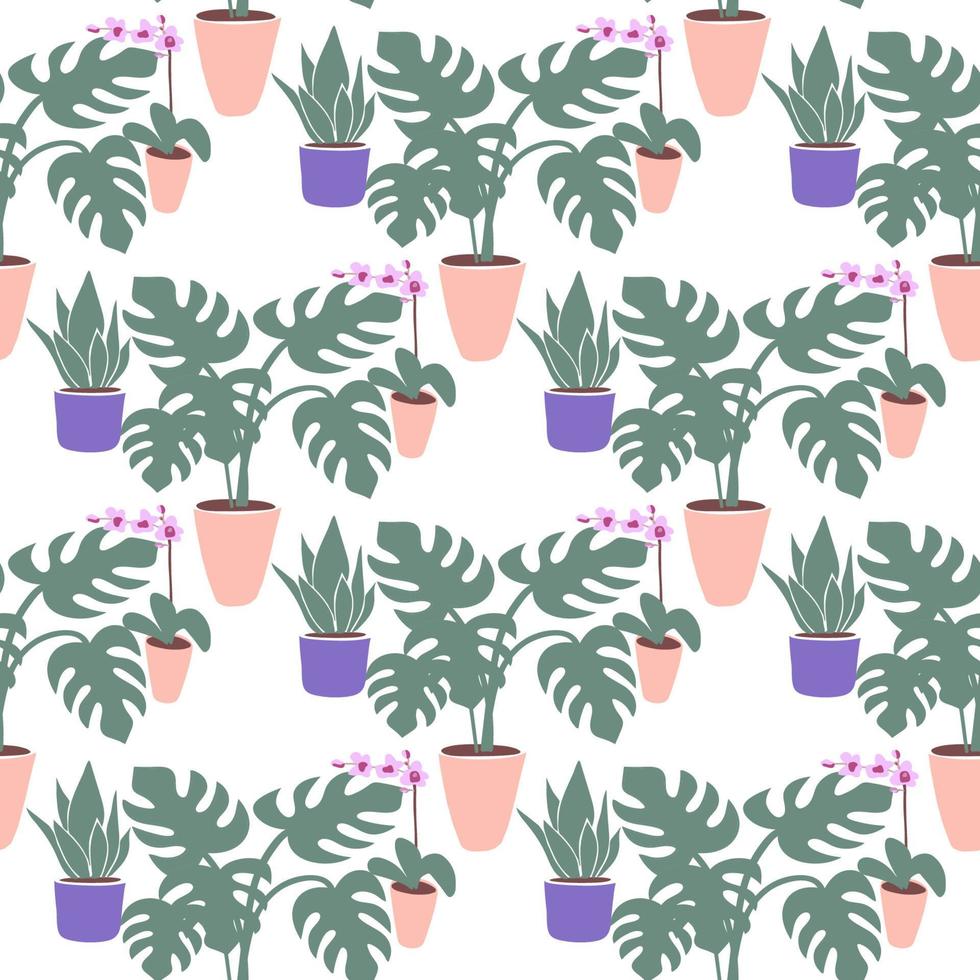 Seamless pattern with llustration a home plants on a white background Vector