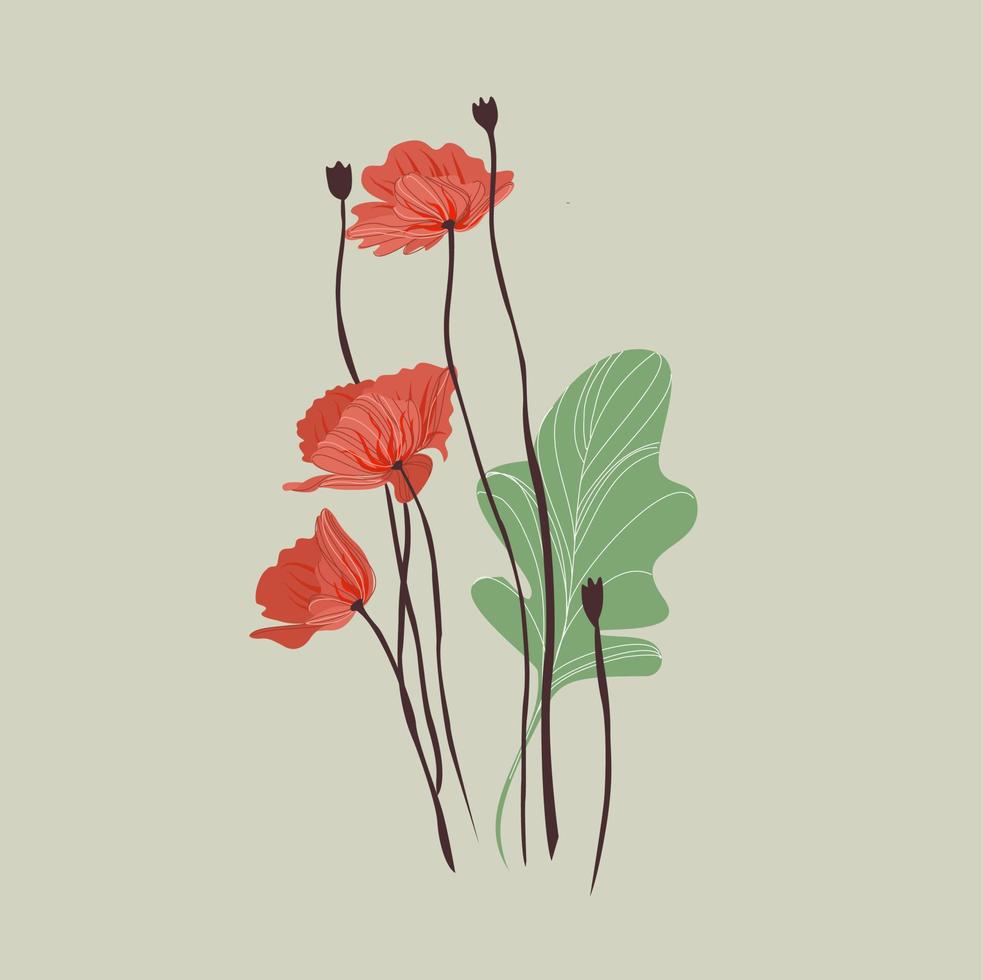 Vector illustration of poppy flower. Isolated on background. Styled drawing. Wildflower.