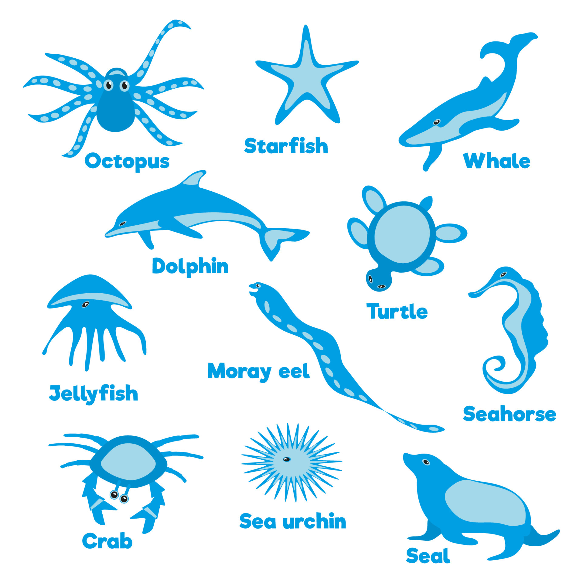Sea animals set flat illustrations 5986053 Vector Art at Vecteezy Sea animals set flat illustrations 5986053 Vector Art at Vecteezy