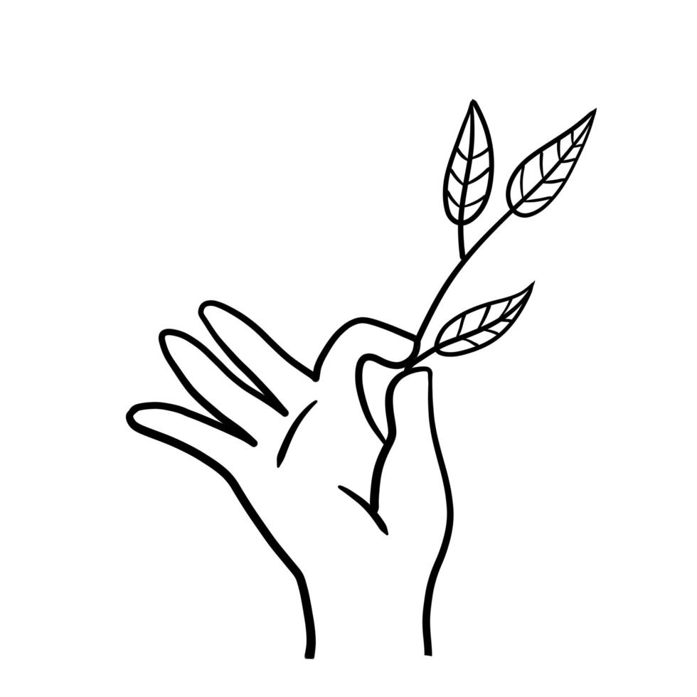 Hand with branch with leaves. Fresh Plant in palm. vector