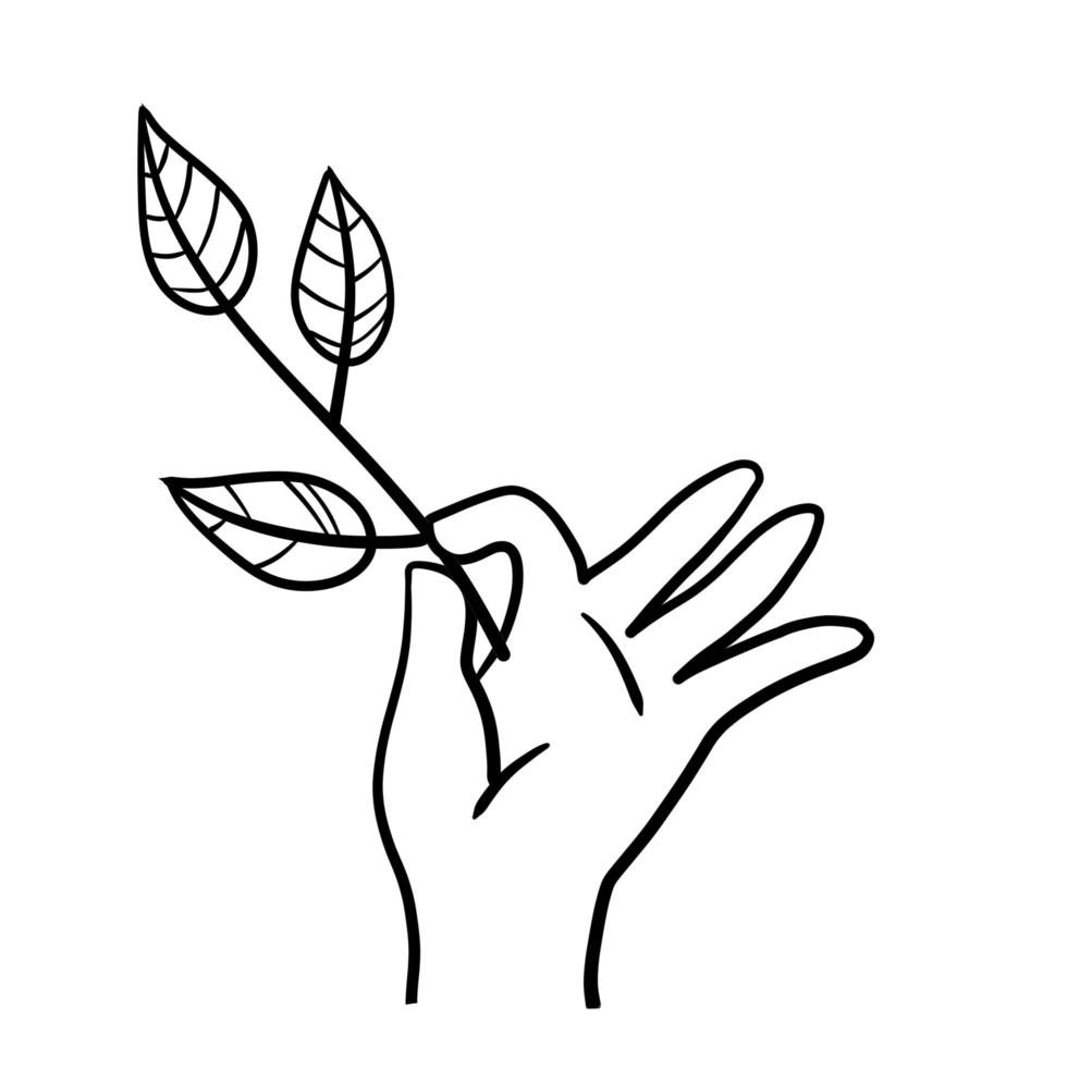 Hand with branch with leaves. Fresh Plant in palm. vector