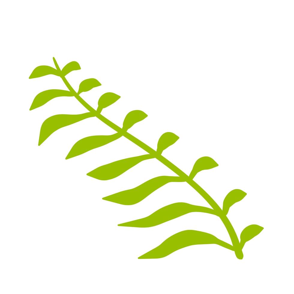 Fern leaf. Element of nature and the forest. Green bracken plant. vector