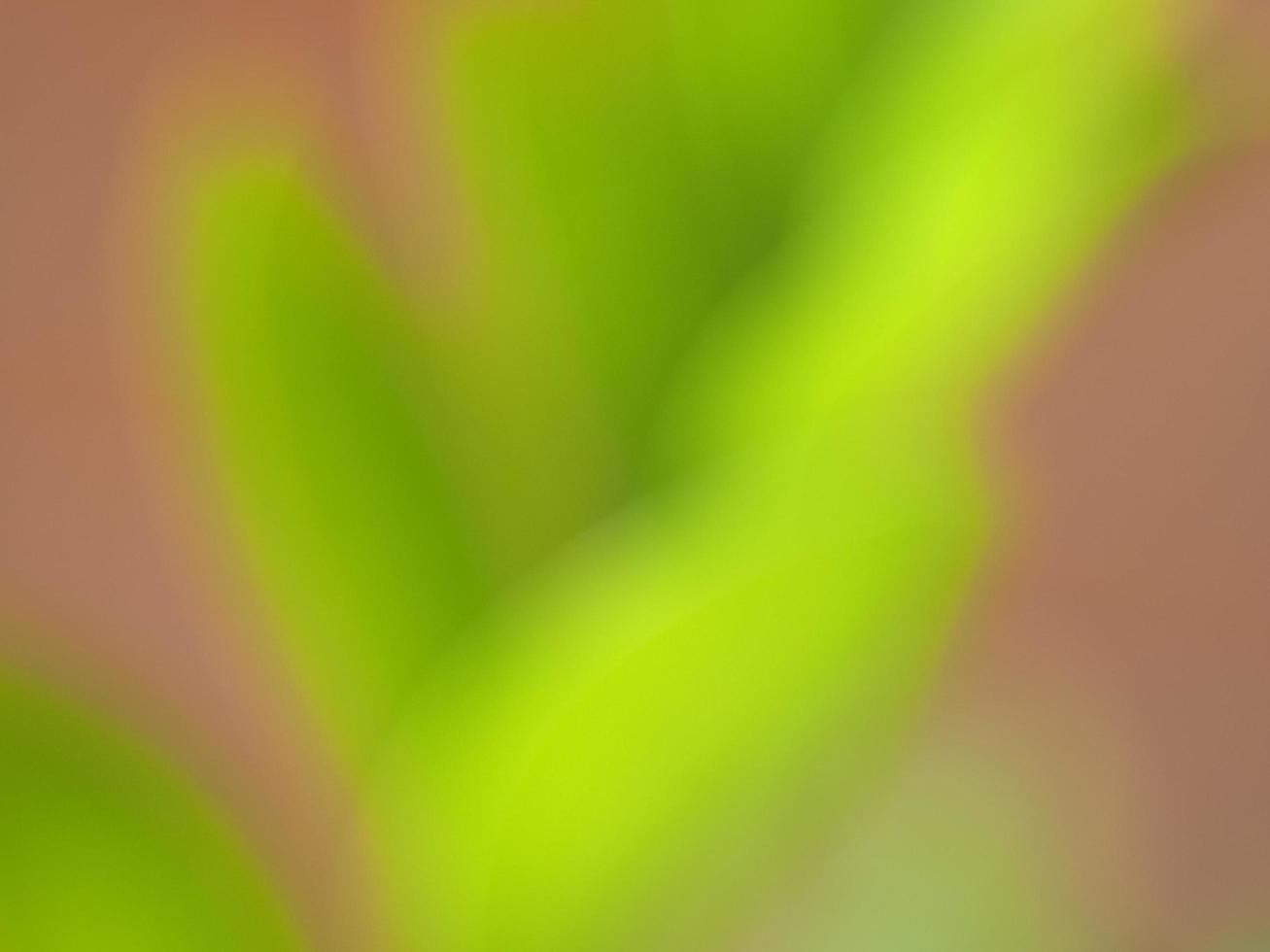 abstract soft green blur background photo