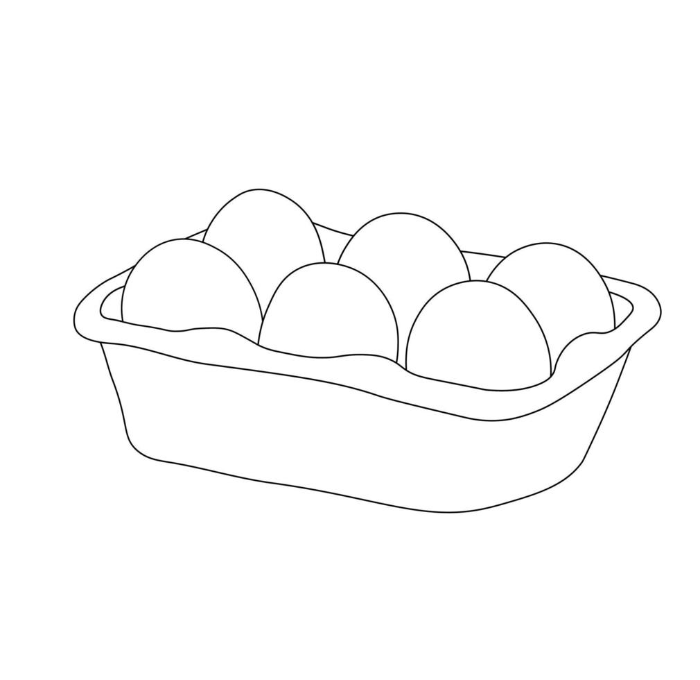 Open egg box with vector stock illustration. Fresh organic chicken eggs in carton pack or egg container with copy space. Isolated on a white background.
