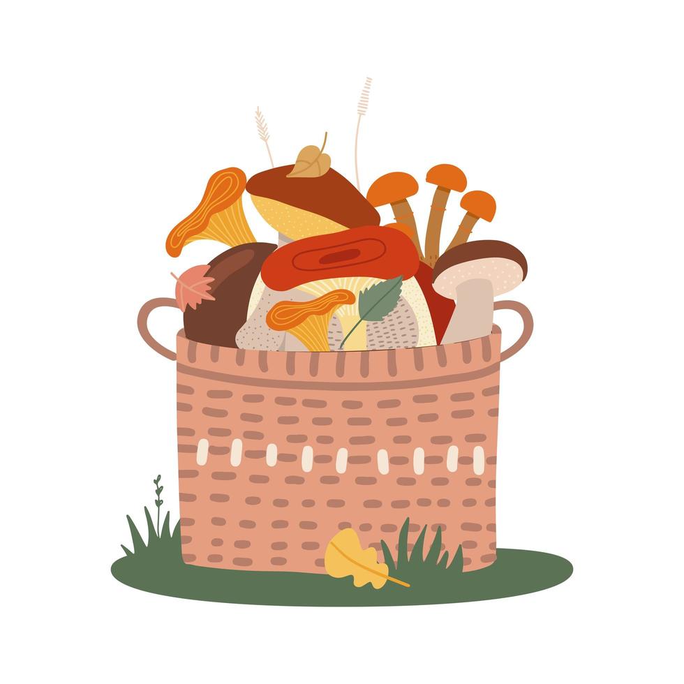 Basket of different edible mushrooms on the grass. Hand drawn colored flat vector illustration.