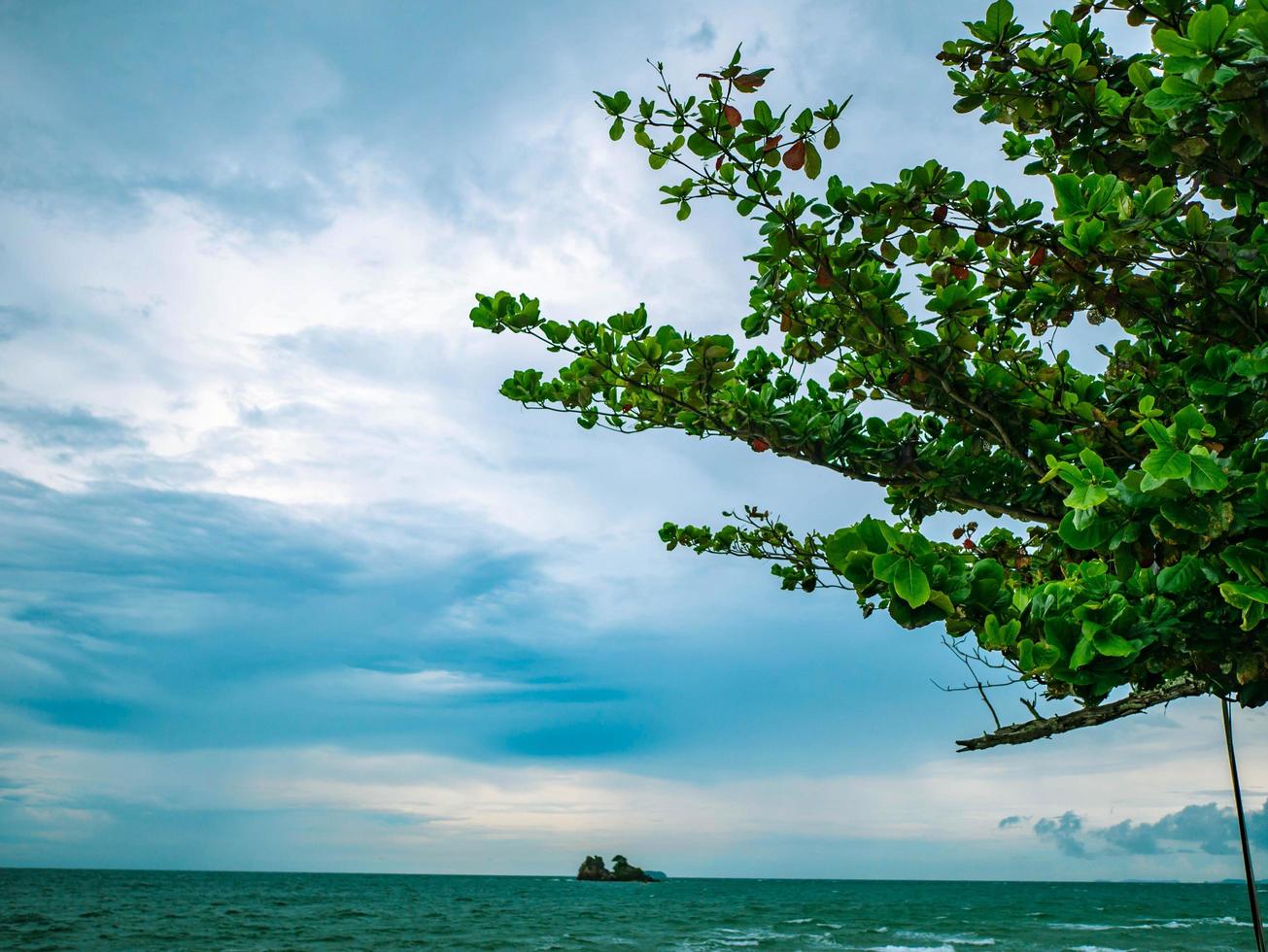 idílico cielo azul del océano y árbol verde al lado del océano, concepto de viaje de vacaciones de verano foto