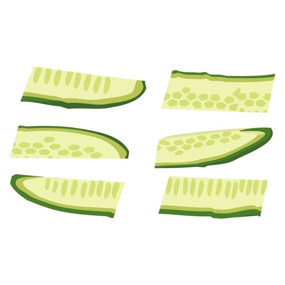 Green cucumber cut into pieces. Delicious healthy vegetable, fresh food for salad preparation, harvest. Vector flat illustration