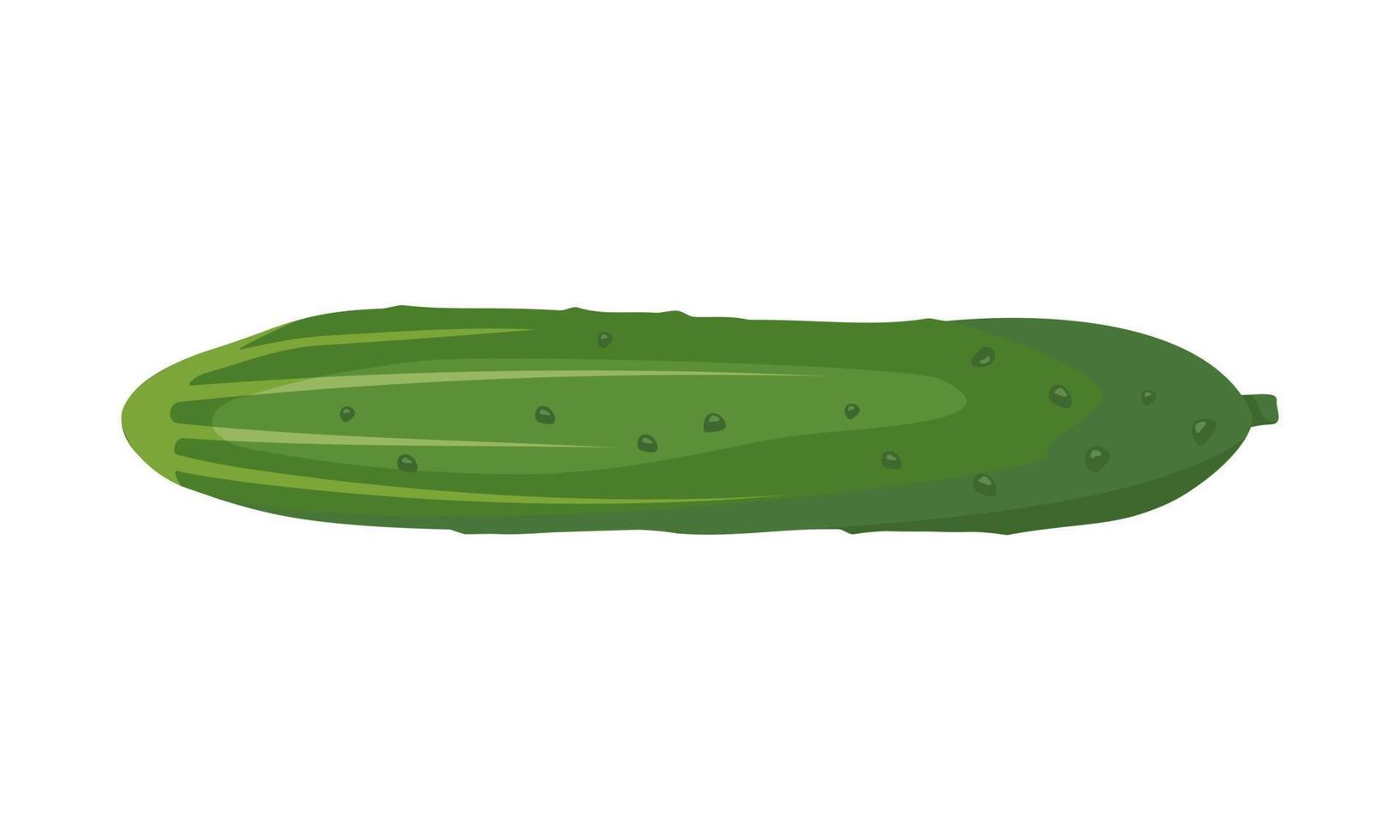 Green cucumber icon. Delicious healthy vegetable, fresh food for salad preparation, harvest. Vector flat illustration
