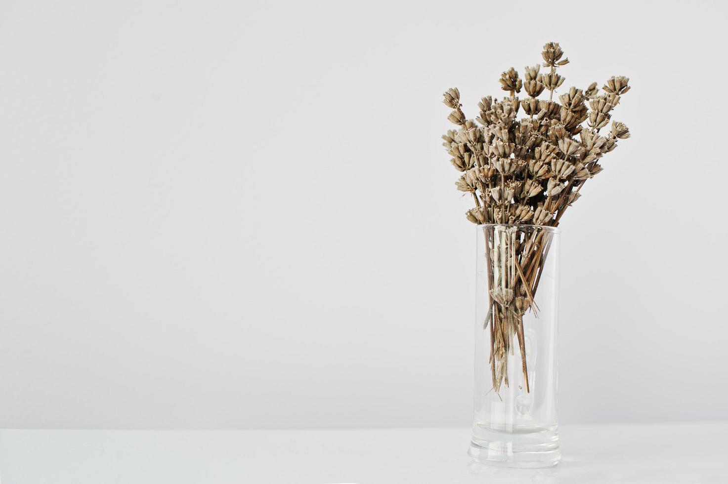 Dried lavender branches at vase at white  background photo