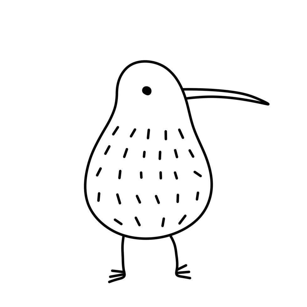 Kiwi bird. Rare Australian animal. vector