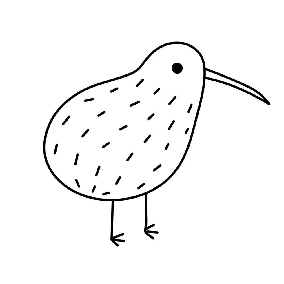 Kiwi bird. Rare Australian animal. Black and white sketch style. vector