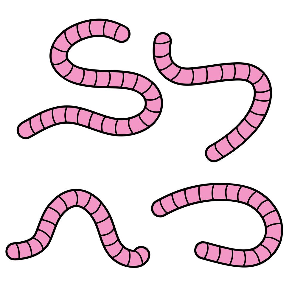 Earthworm. Pink Insect worm set. vector